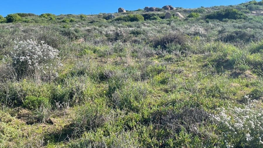 0 Bedroom Property for Sale in St Helena Views Western Cape